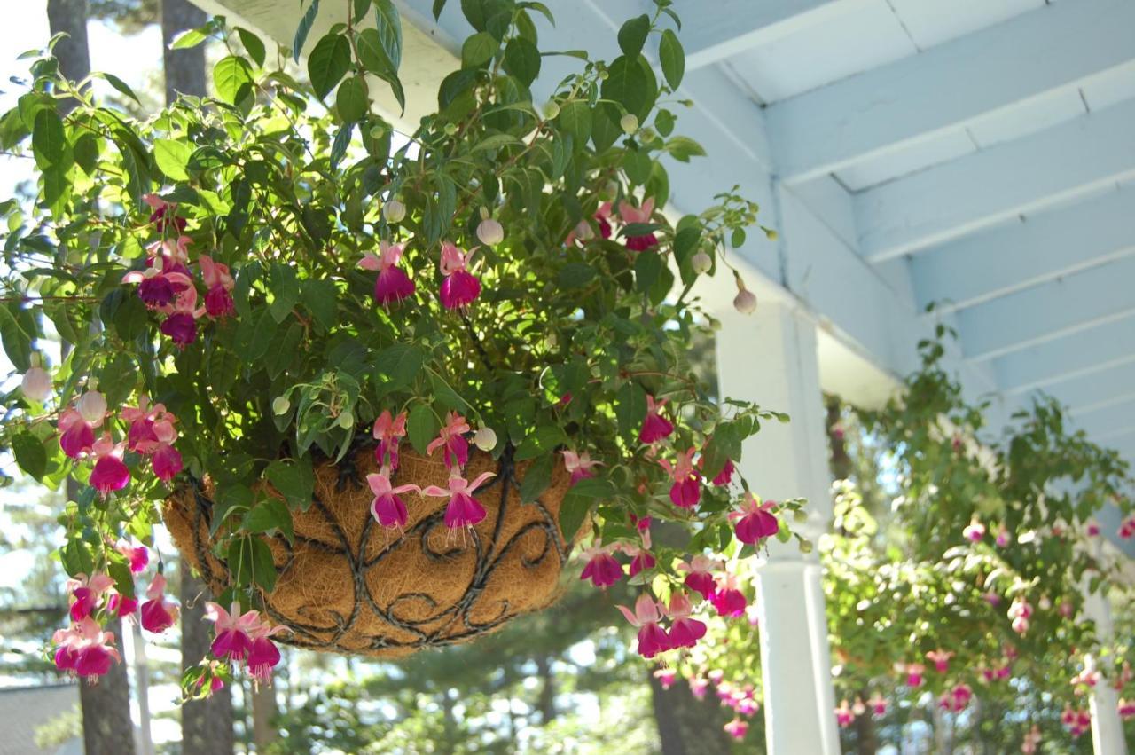 Sebago Lake Lodge & Cottages North Windham Εξωτερικό φωτογραφία